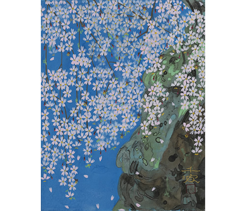 図版：「常照皇寺の九重桜」6F　中島千波